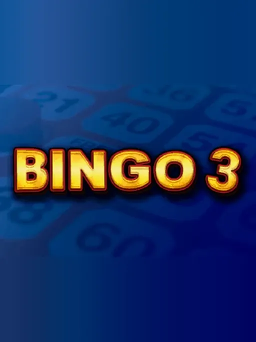 Bingo 3