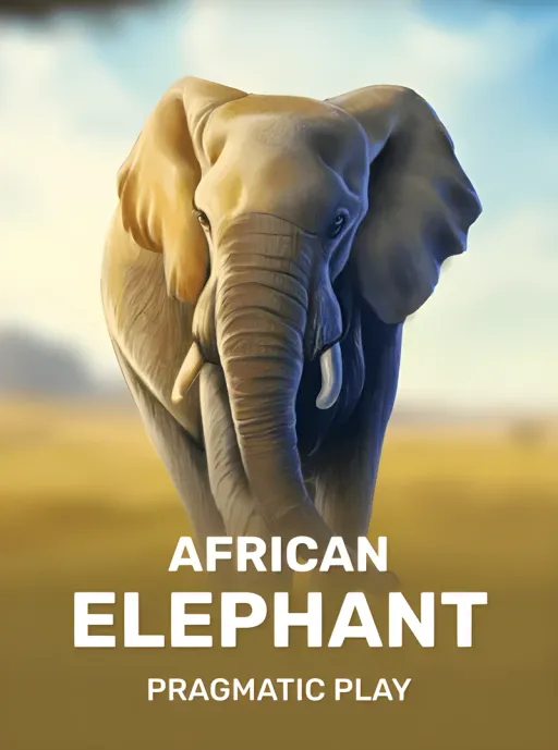 African Elephant